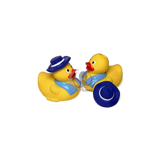 Spa Duck